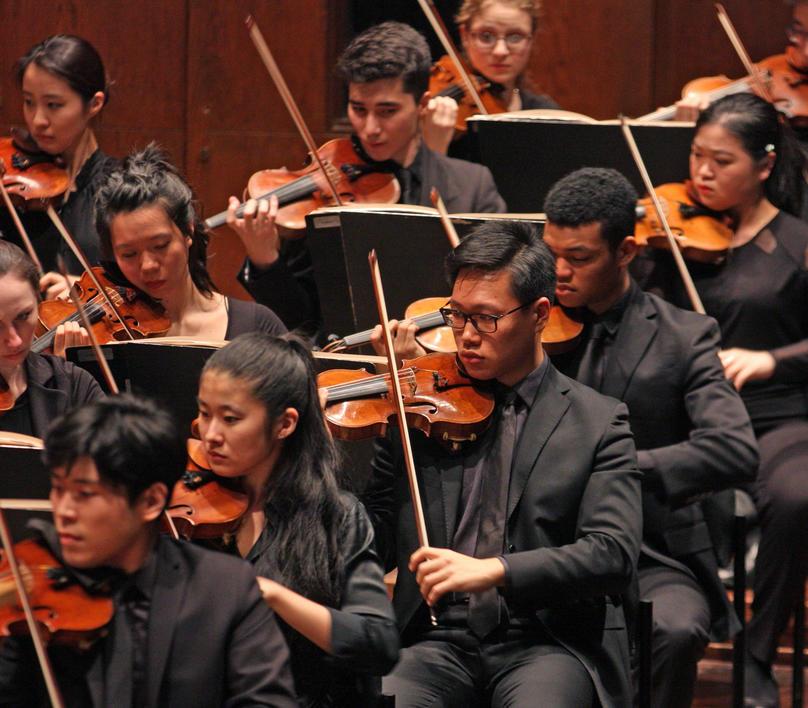 The 小提琴 section of the orchestra performing